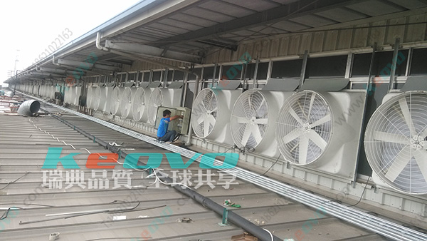 1700622256928625.jpg 8.jpg